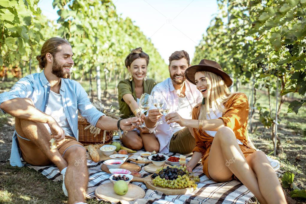 Friends on the picnic at the vineyard