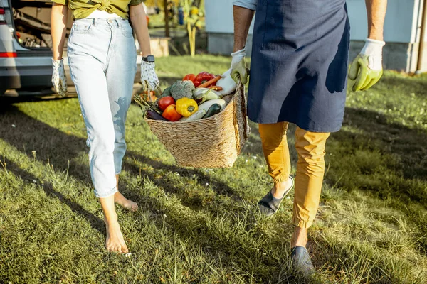 Cesta llena de verduras frescas — Foto de Stock