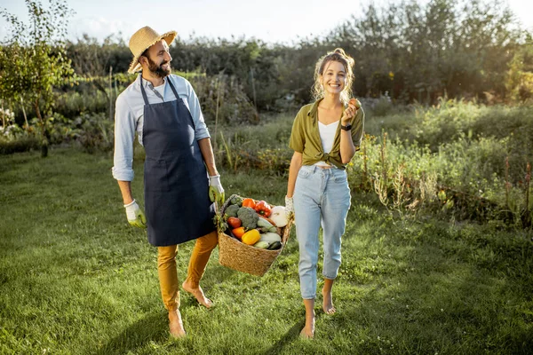 Paar met verse groenten in de tuin — Stockfoto