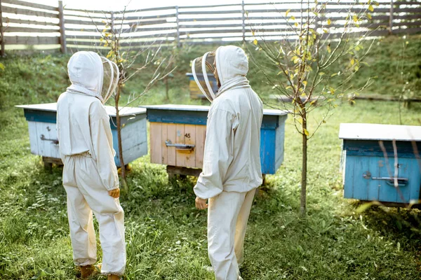 Δύο μελισσοκόμοι που εργάζονται στο μελισσοκομείο — Φωτογραφία Αρχείου