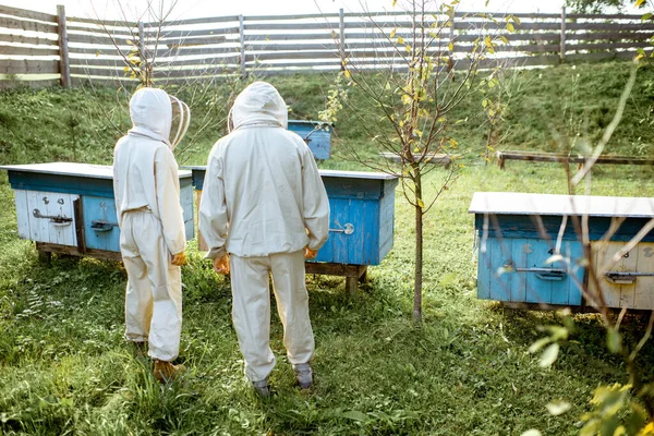 两个养蜂人在养蜂场工作 — 图库照片