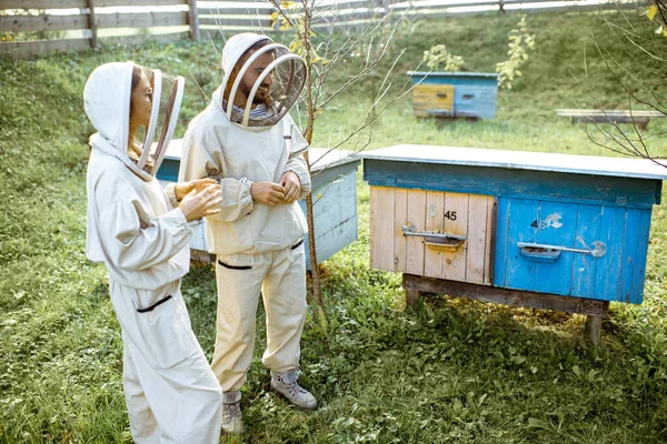 На пасіці працюють двоє бджолярів — стокове фото