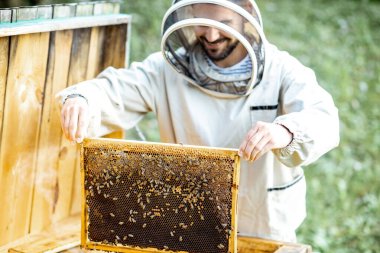 Arı yetiştiricisi arılar üzerinde çalışıyor.