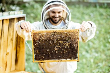 Arı yetiştiricisi arılar üzerinde çalışıyor.