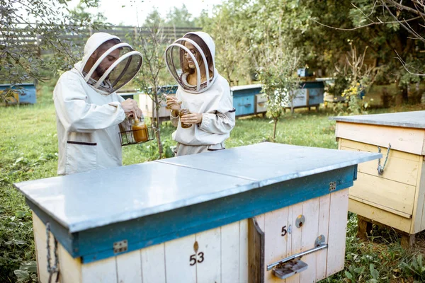 Beekepers working no the apiary — стоковое фото