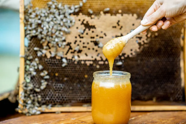 Miel fresca en la colmena — Foto de Stock