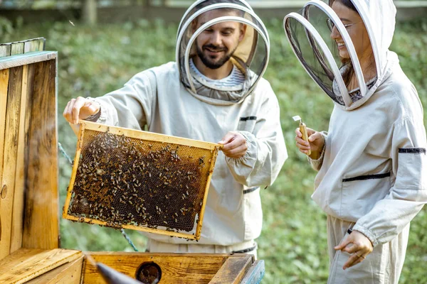Pszczelarze pracujący w pasiece — Zdjęcie stockowe