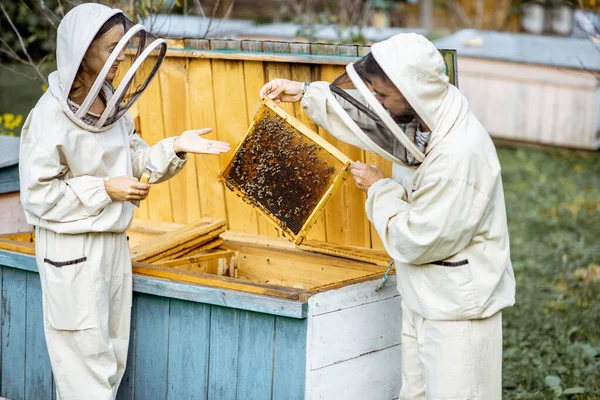 Apicultores trabajando en el colmenar — Foto de Stock