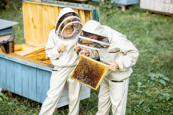 Apicultores que trabalham no apiário — Fotografia de Stock