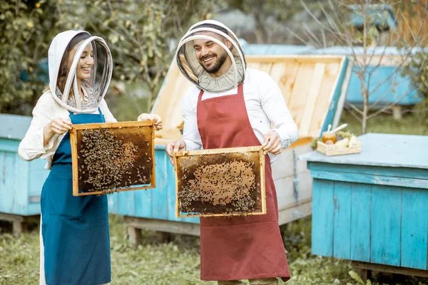 Beekepers with honeycombs on the apiary — Stock Photo, Image