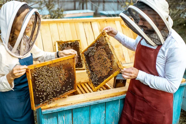 Beekepers με κηρήθρες στο μελισσοκομείο — Φωτογραφία Αρχείου