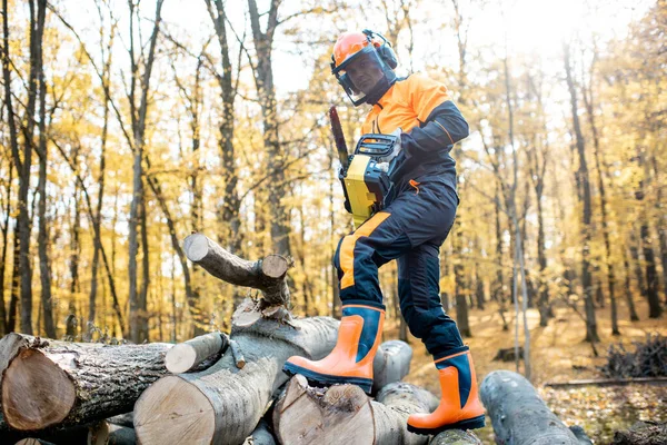 Professional lumberjack in the forest — Stock Photo, Image