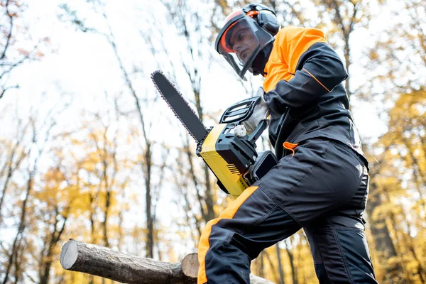 Professional lumberjack in the forest — Stock Photo, Image
