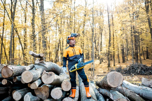 Professionell skogshuggare i skogen — Stockfoto