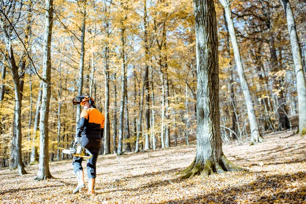 Bûcheron professionnel dans la forêt — Photo