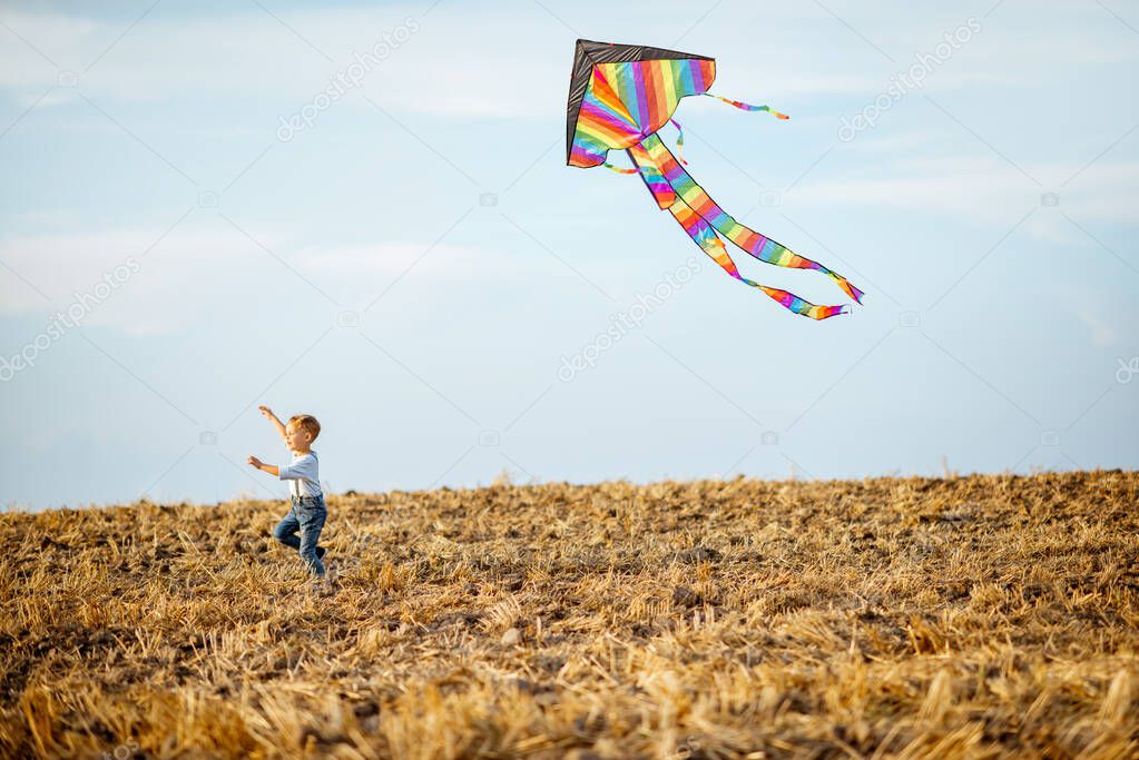 Fother and son flying kite on the field