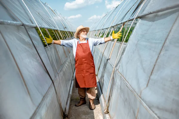Hombre mayor en la granja agrícola al aire libre — Foto de Stock