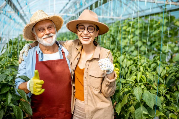 Starszy dziadek z młodą kobietą na plantacji pieprzu — Zdjęcie stockowe