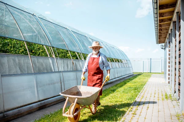 Idősebb ember, mezőgazdasági területen dolgozik. — Stock Fotó