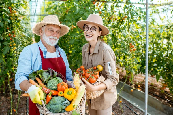 Abuelo y mujer joven con cosecha de verduras —  Fotos de Stock