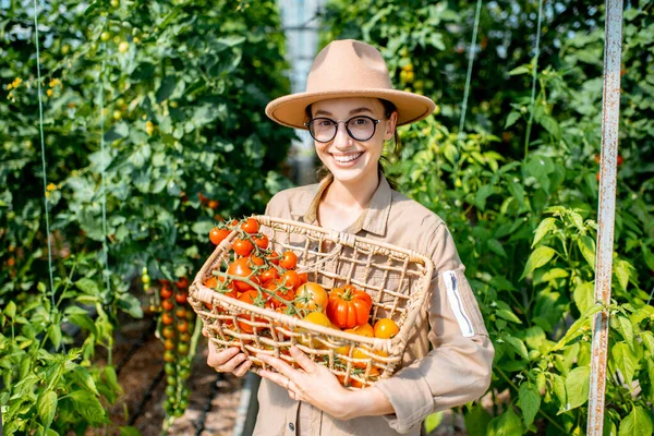 Mujer joven con cesta llena de tomates frescos —  Fotos de Stock