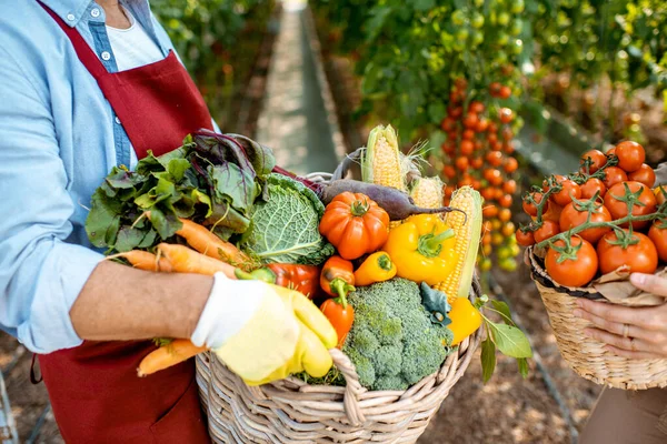 Cestas llenas de verduras recién arrancadas —  Fotos de Stock