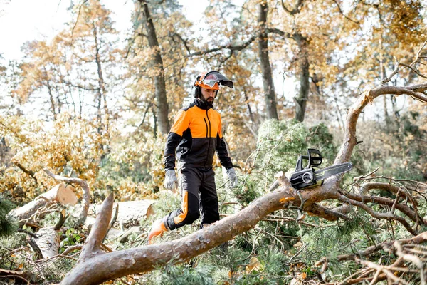 Lumberman working in the forest — Stock Photo, Image