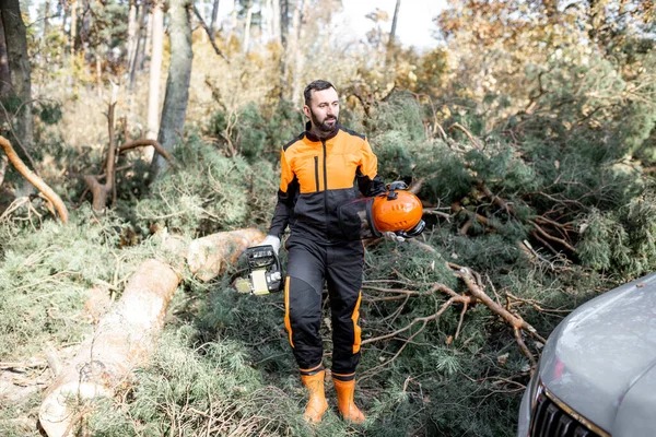 Lumberman logging in the forest — Stock Photo, Image