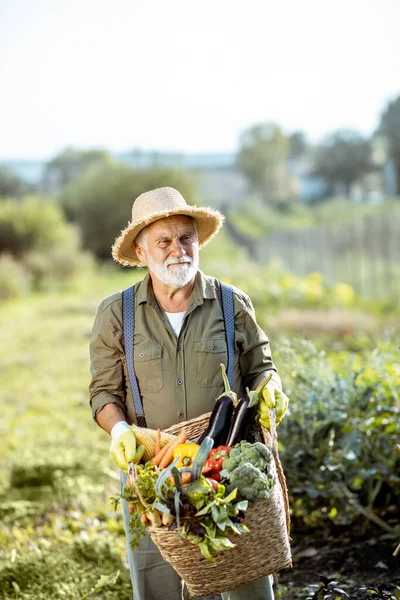 Портрет старшего агронома с овощами — стоковое фото