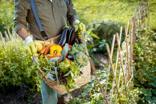 Cesta de retención con verduras —  Fotos de Stock