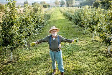 Elma bahçesindeki son sınıf öğrencisi.