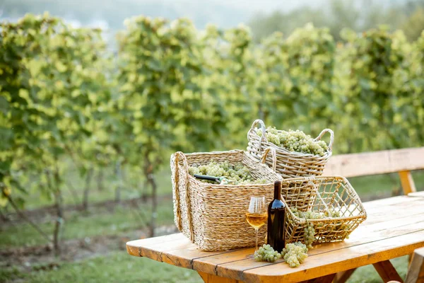 Vinho e uvas na mesa ao ar livre — Fotografia de Stock