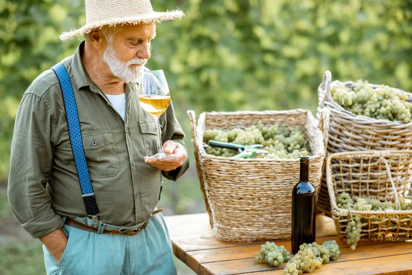 Senior-Winzer mit Wein und Trauben auf dem Weinberg — Stockfoto