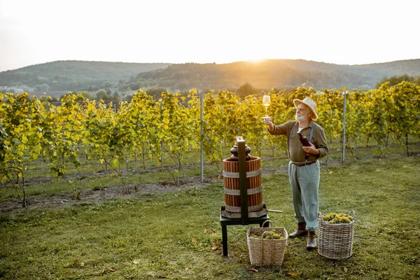 Viticoltore senior con bicchiere da vino e pressa in vigna — Foto Stock