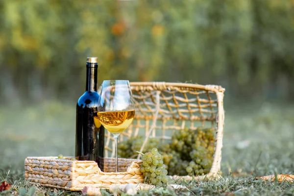 Szklanka i butelka wina z winogronami na winnicy — Zdjęcie stockowe