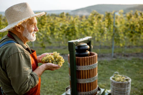 Senior Winzer mit Trauben in der Nähe der Keltermaschine im Freien — Stockfoto