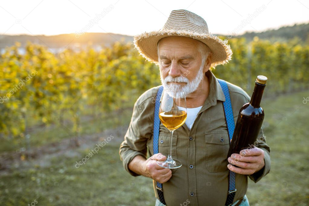 Senior winemaker tasting wine on the vineyard