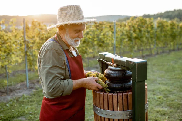 Senior Winzer mit Trauben in der Nähe der Keltermaschine im Freien — Stockfoto