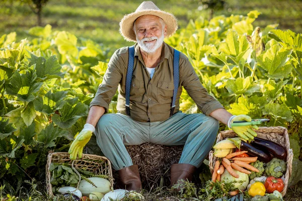 Senior man med grönsaker på trädgården — Stockfoto