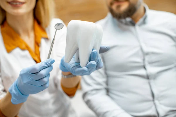 Tandläkare som håller tand modell och dentalspegel — Stockfoto