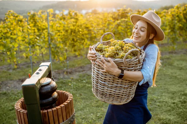 Mulher com uvas na vinha — Fotografia de Stock