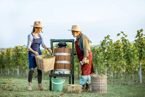 Homem sênior com jovem mulher pressionando uvas para a produção de vinho — Fotografia de Stock