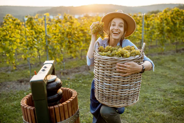 Vrouw met druiven op de wijngaard — Stockfoto