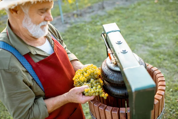 Senior Winzer mit Trauben in der Nähe der Keltermaschine im Freien — Stockfoto