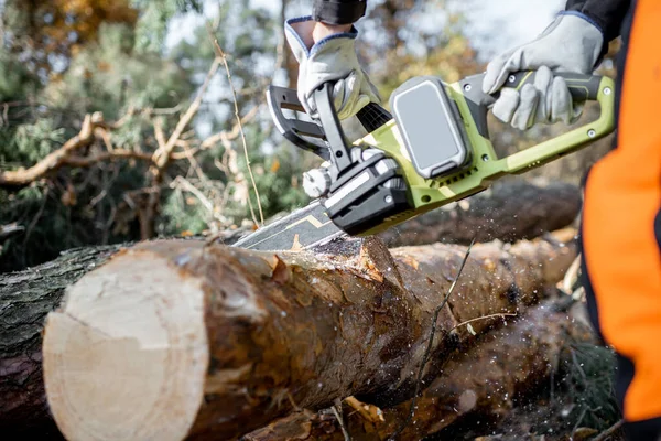 Corte profesional de troncos con motosierra — Foto de Stock