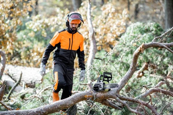 Lumberman working in the forest — Stock Photo, Image