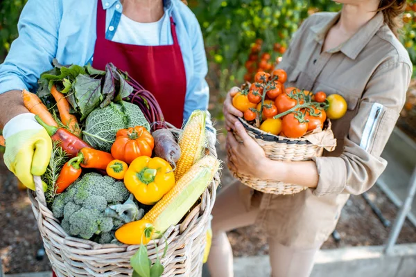 Cestas llenas de verduras recién arrancadas —  Fotos de Stock