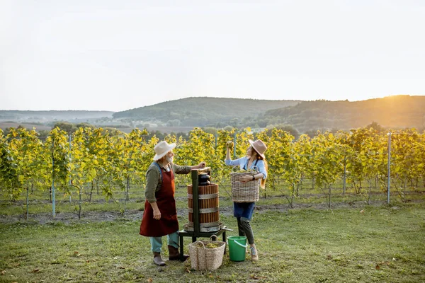 Senior mężczyzna z młodą kobietą tłoczącą winogrona do produkcji wina — Zdjęcie stockowe