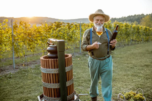 Senior-Winzer mit Weinglas und Keltermaschine auf dem Weinberg — Stockfoto