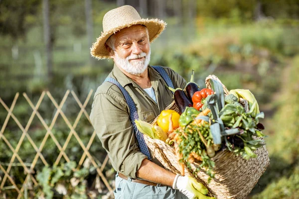 Портрет старшего агронома с овощами на открытом воздухе — стоковое фото